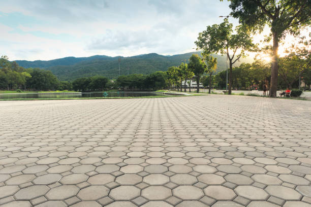 Best Local Driveway Pavers  in Stafford, TX